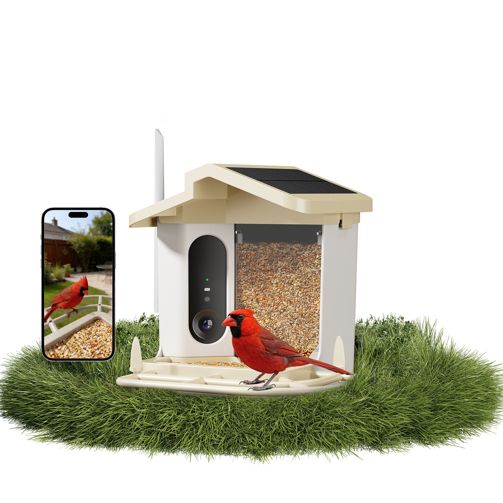 Smart bird feeder