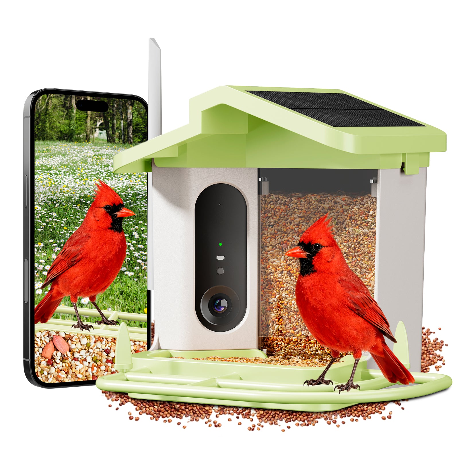 Smart bird feeder