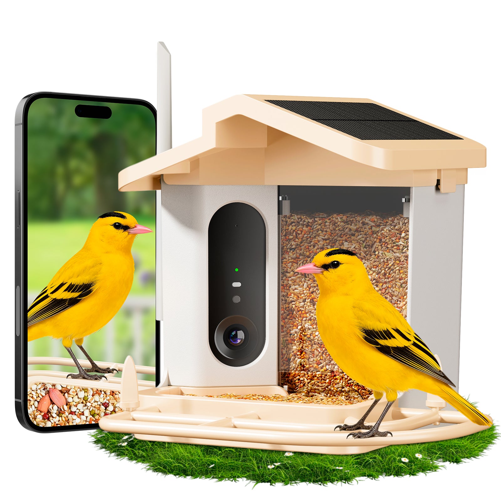 Smart bird feeder